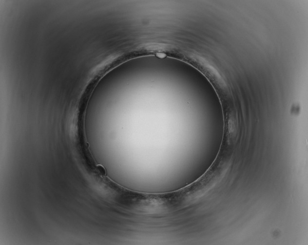 X0000103300492200808291409