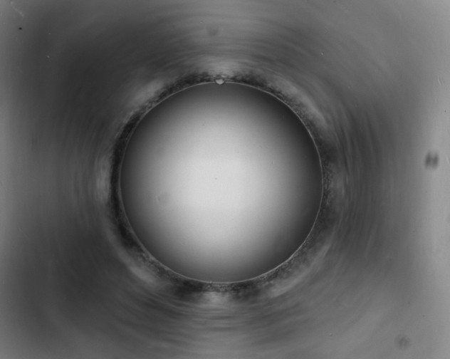X0000103300496200808291408
