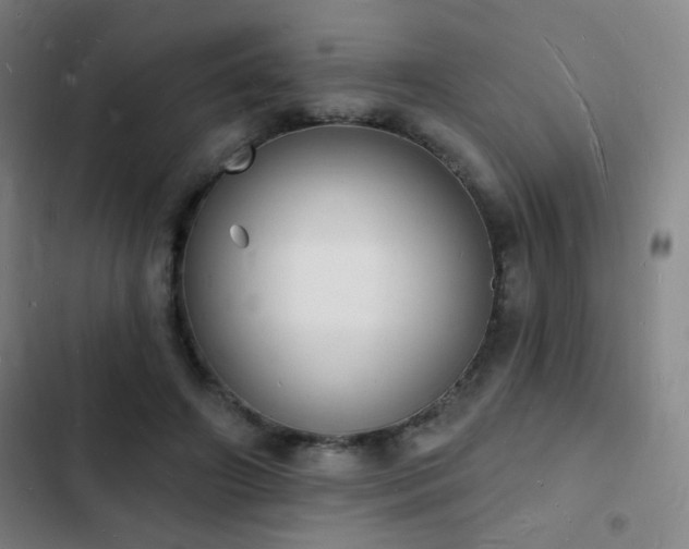 X0000103300498200808291408