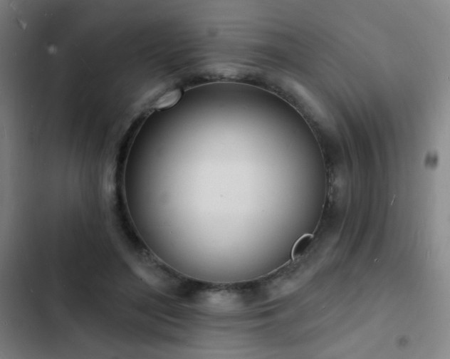 X0000103300500200808291408