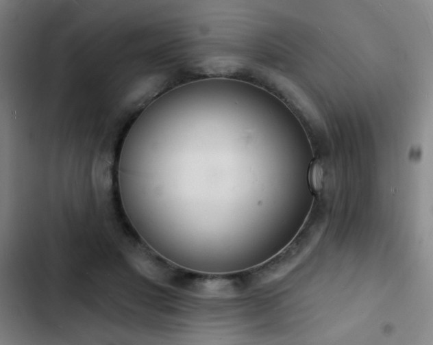 X0000103300501200808291408