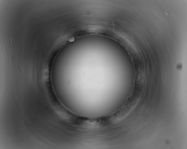 X0000103300502200808291408
