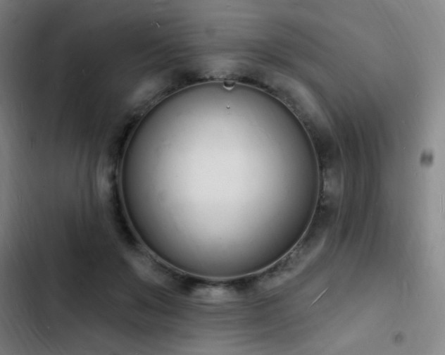 X0000103300503200808291408