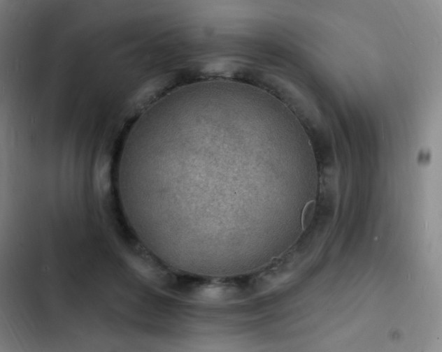 X0000103300504200808291408