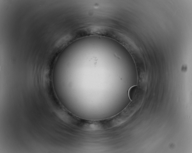 X0000103300506200808291408