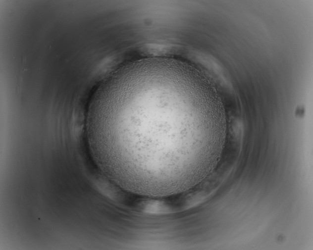 X0000103300507200808291408