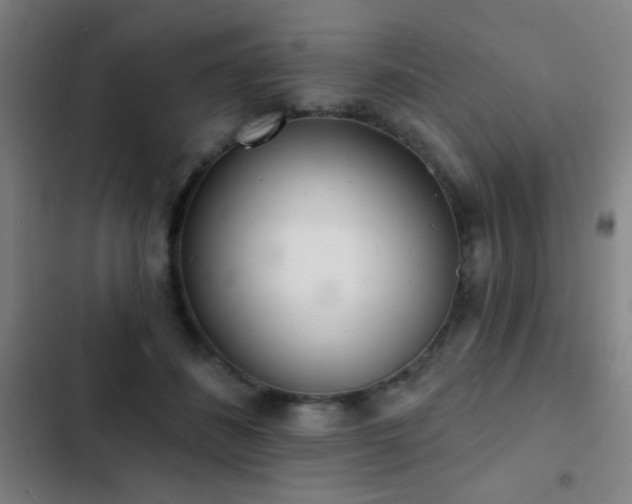 X0000103300508200808291408