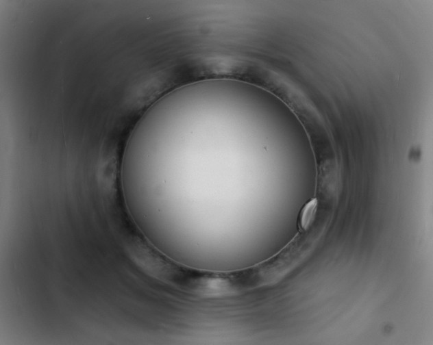 X0000103300509200808291408