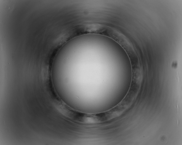 X0000103300510200808291408