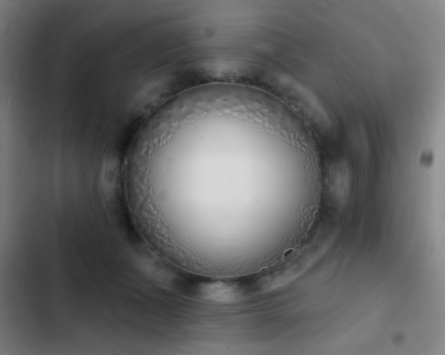 X0000103300511200808291408
