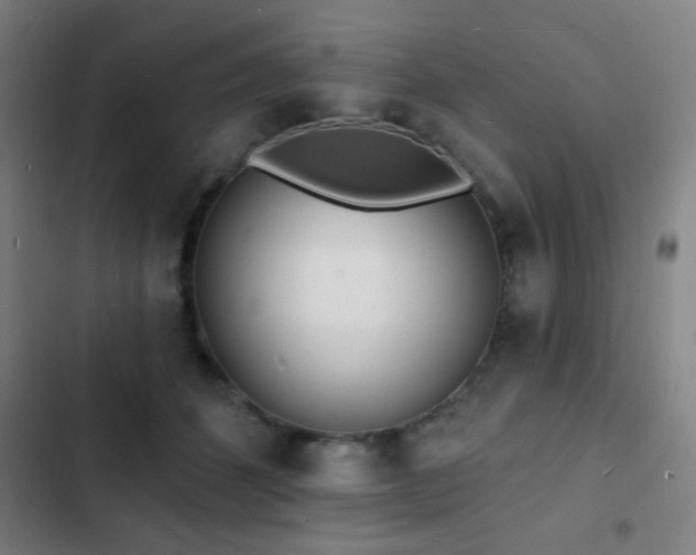X0000103300512200808291408