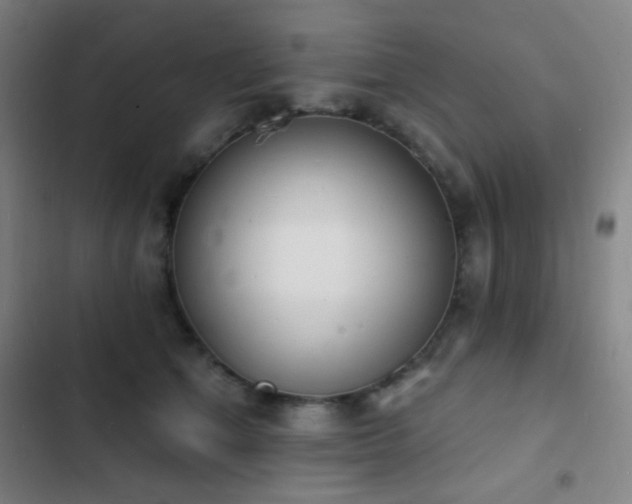 X0000103300513200808291408
