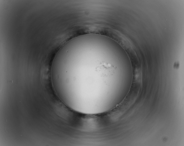 X0000103300514200808291408