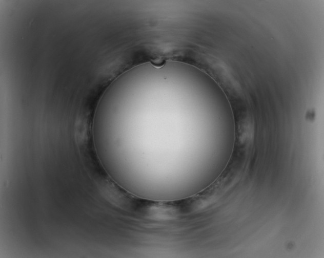 X0000103300515200808291408