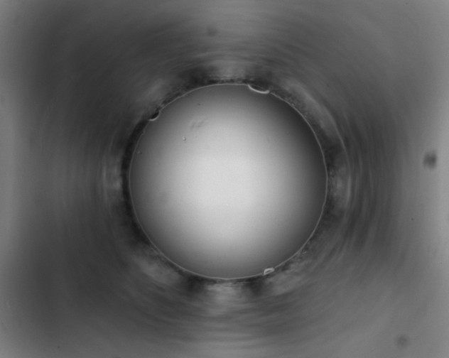 X0000103300516200808291408