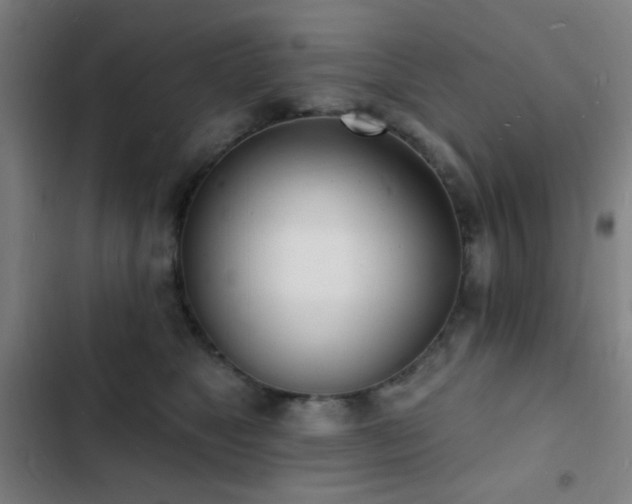 X0000103300517200808291408