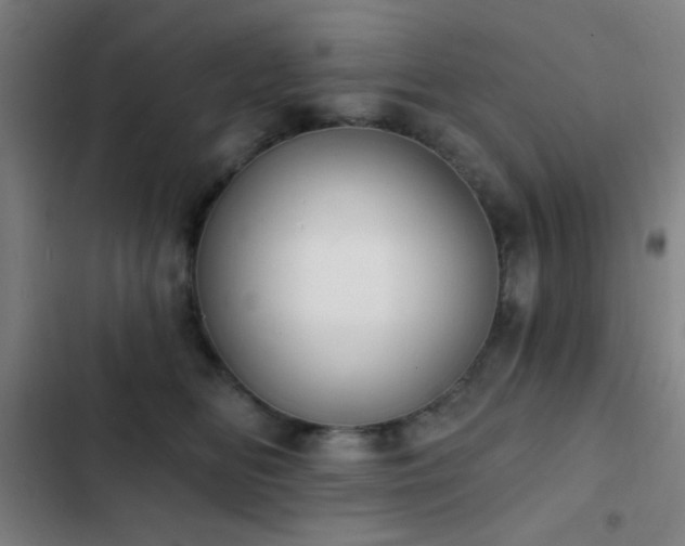 X0000103300518200808291408