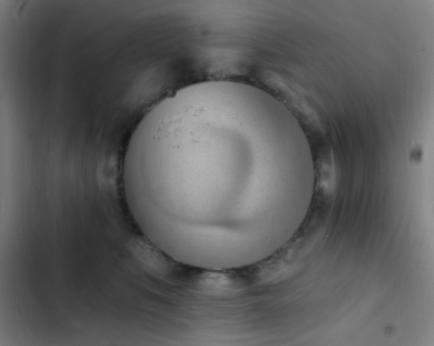 X0000103300519200808291408