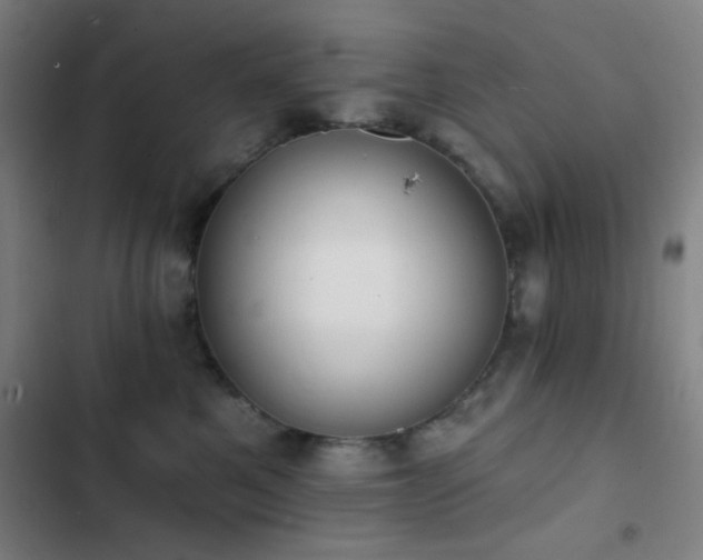 X0000103300521200808291408
