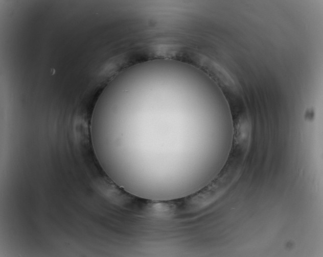 X0000103300522200808291408
