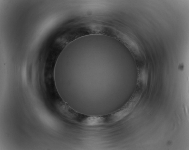 X0000103300526200808291408