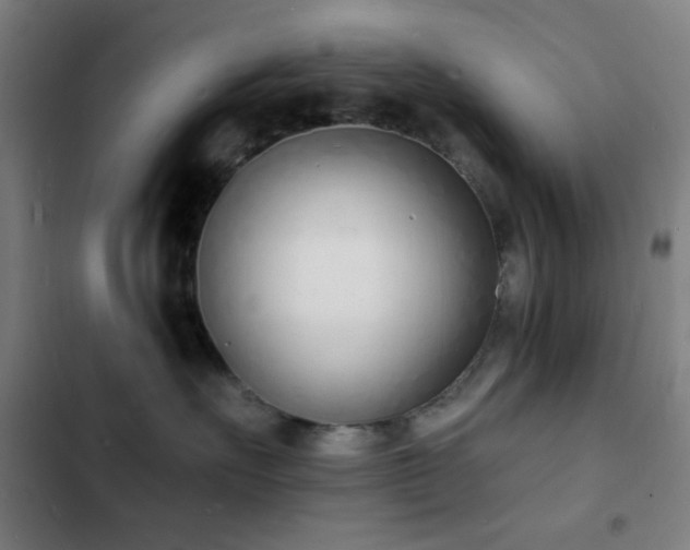 X0000103300527200808291408