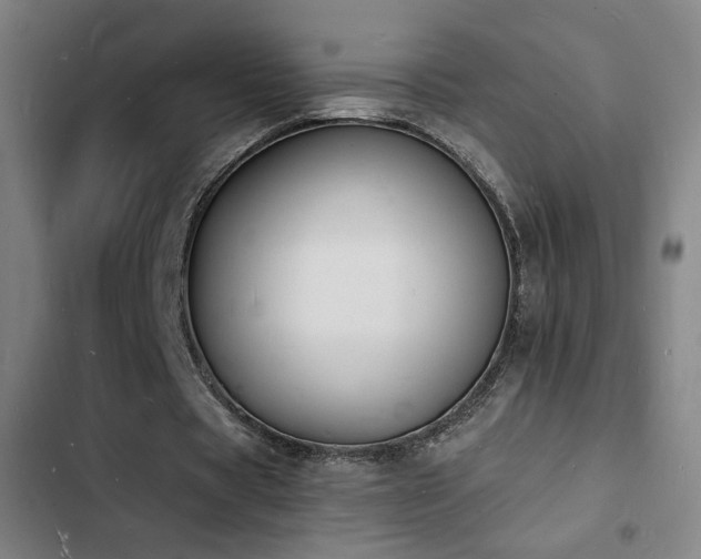 X0000103300529200808291407
