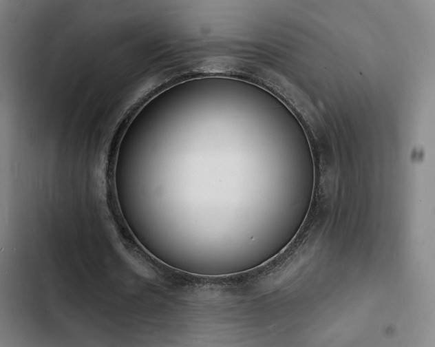 X0000103300530200808291407