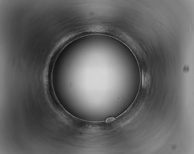 X0000103300531200808291407