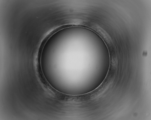 X0000103300532200808291407