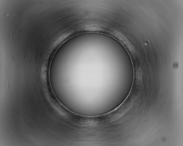 X0000103300533200808291407