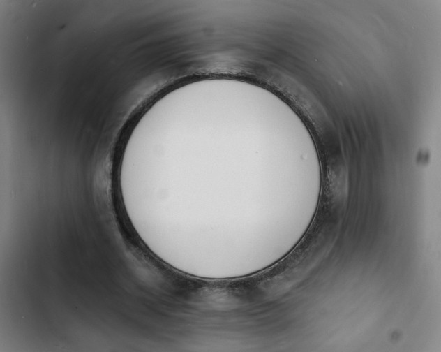 X0000103300534200808291407