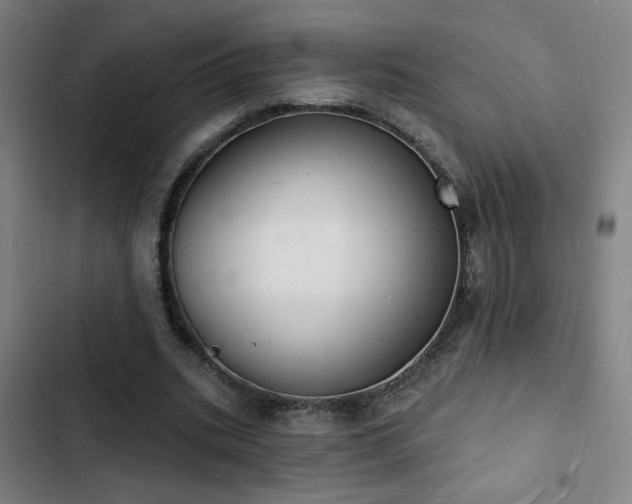 X0000103300535200808291407