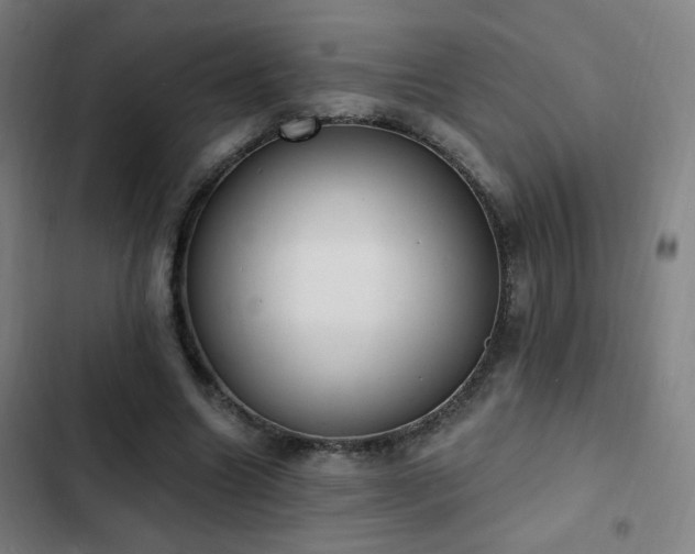 X0000103300538200808291407