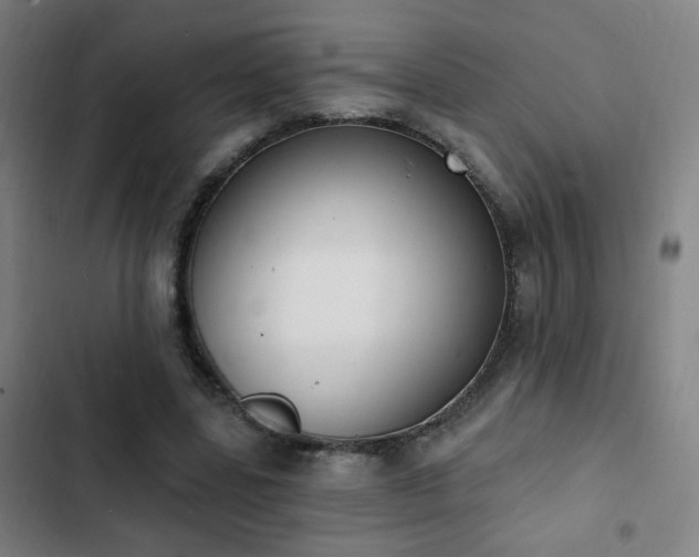 X0000103300539200808291407
