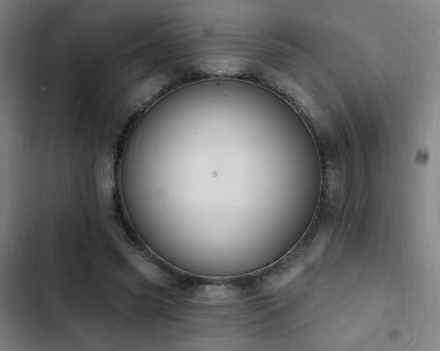 X0000103300541200808291407