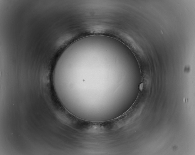 X0000103300543200808291408