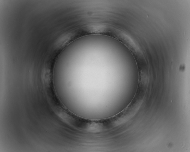 X0000103300549200808291408