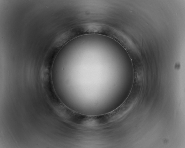 X0000103300551200808291408