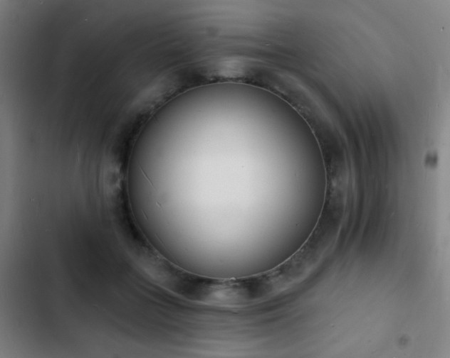 X0000103300555200808291408