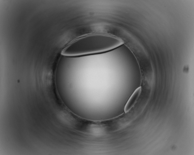 X0000103300556200808291408