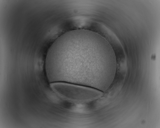 X0000103300558200808291408