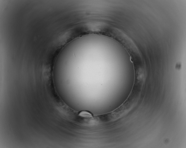 X0000103300559200808291408
