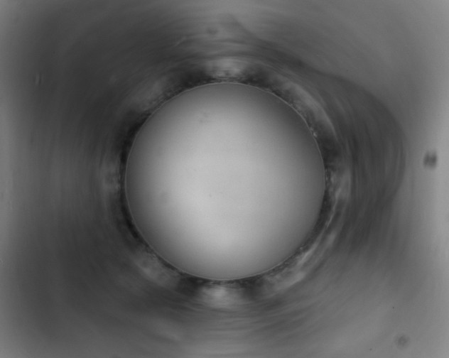 X0000103300561200808291408