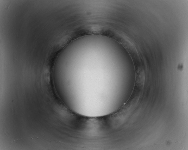 X0000103300562200808291408