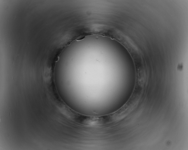 X0000103300563200808291408