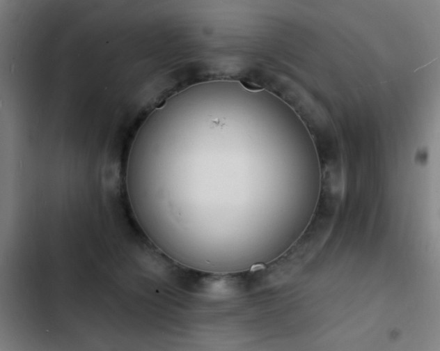 X0000103300564200808291408