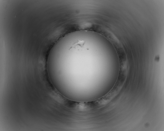 X0000103300565200808291408