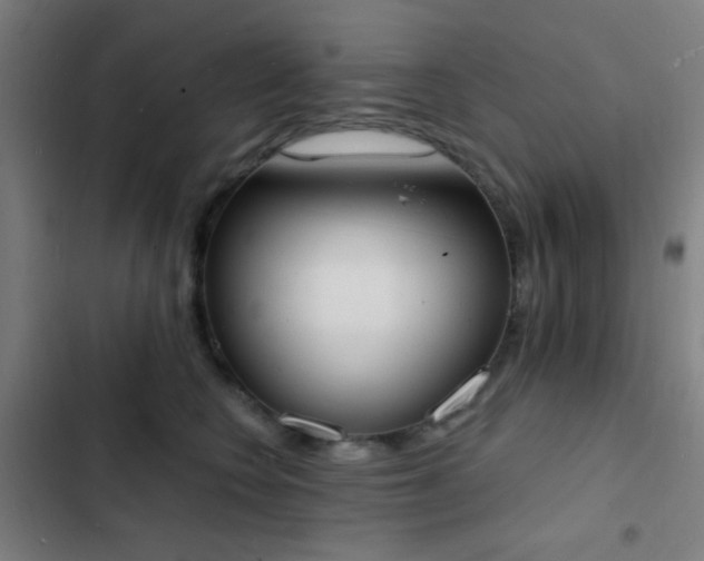 X0000103300566200808291408