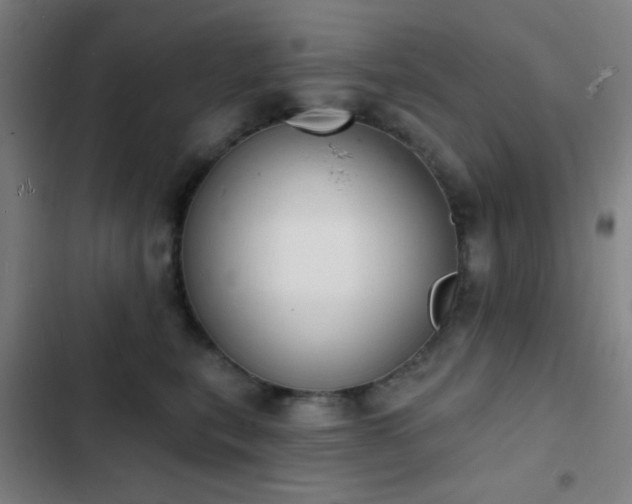 X0000103300567200808291408